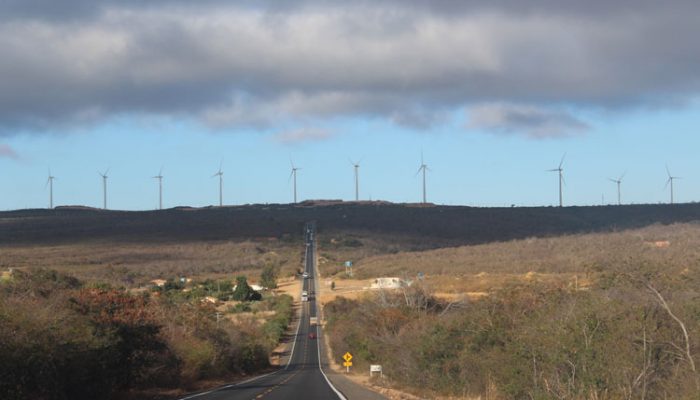 Foto: Lay Amorim/Achei Sudoeste