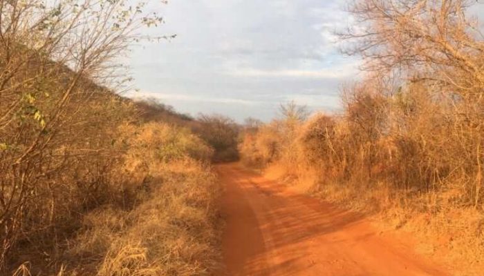 Tempo nublado na Zona Rural de Guanambi - Foto: Agência Sertão