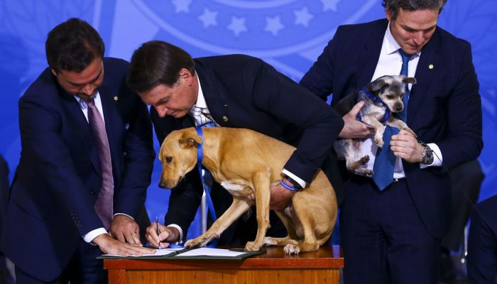 O presidente Jair Bolsonaro sanciona o projeto de lei (PL 1.095/2019) que aumenta pena para crimes de maus-tratos a animais.