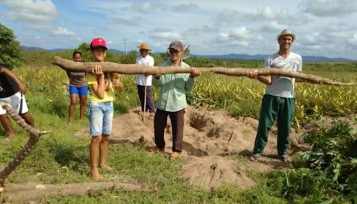 Foto: Reprodução/Bahia Rural