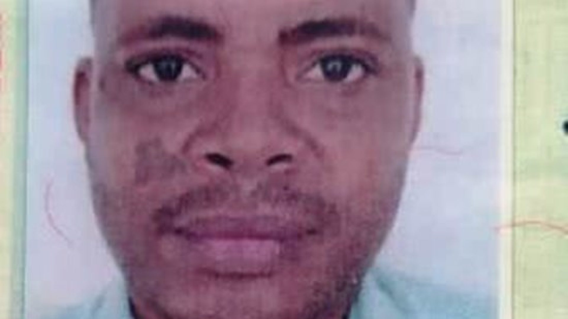 31d39f69-1429-4a27-9c73-1450e09b274c