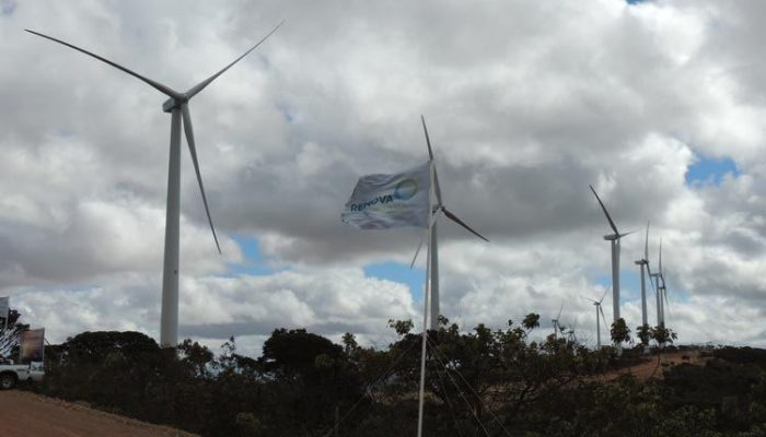 Foto: Lay Amorim/Achei Sudoeste