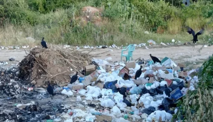 (Foto: Reprodução/Achei Sudoeste)