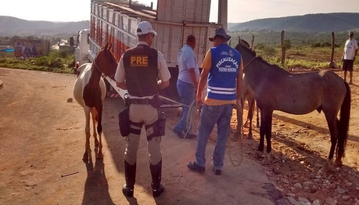 Foto: Divulgação l PRE