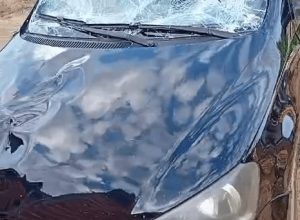 (Foto: Reprodução)