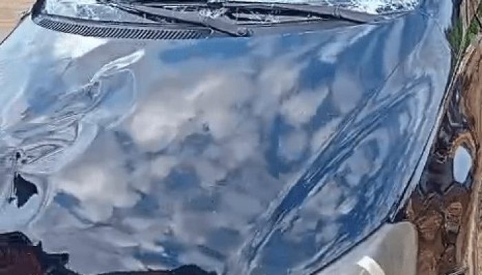 (Foto: Reprodução)