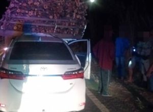 (Foto: Reprodução)