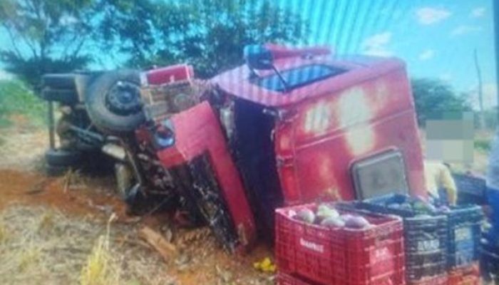(Foto: Divulgação/17º BPM)