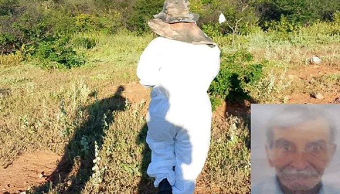 (Foto: Reprodução)