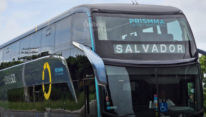 (Foto: Reprodução)