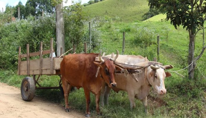 Foto: Meramente ilustrativa