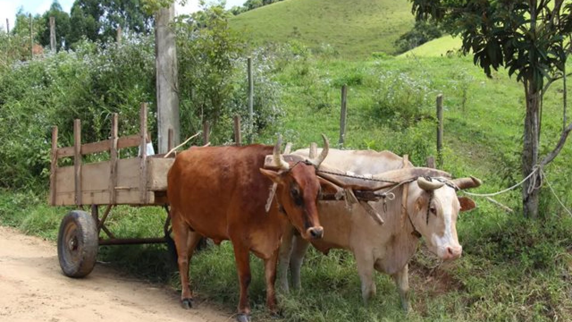 Foto: Meramente ilustrativa