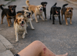 Foto: Meramente ilustrativa