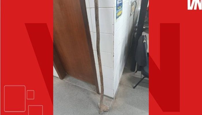(Foto: Divulgação/PM)