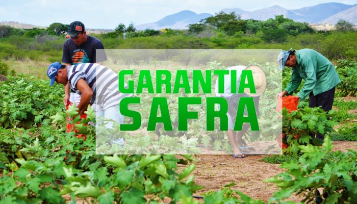 Garantia Safra