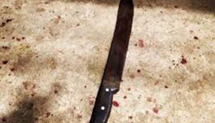 Golpe de facão (Foto: Meramente ilustrativa)