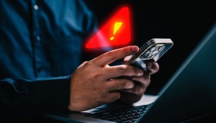 Golpe virtual em celular (Foto: Reprodução)