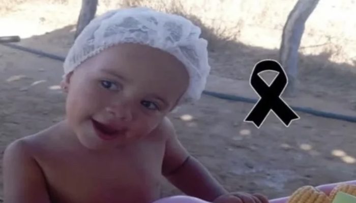 (Foto: Reprodução)