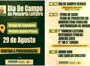 (Foto: Reprodução)