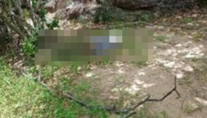 Foto: Reprodução PM