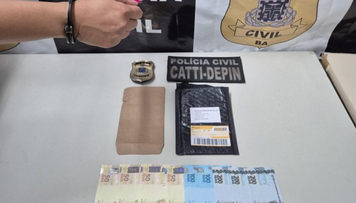 (foto: Divulgação/Polícia Civil)