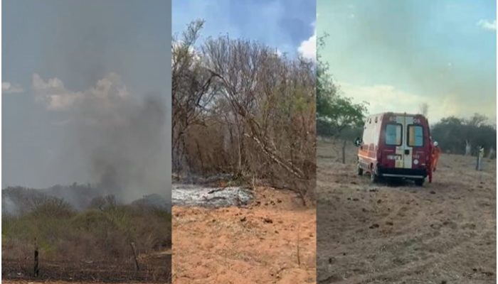 Imagem do WhatsApp de 2025-10-31 à(s) 08.35-horz Foto: Reprodução