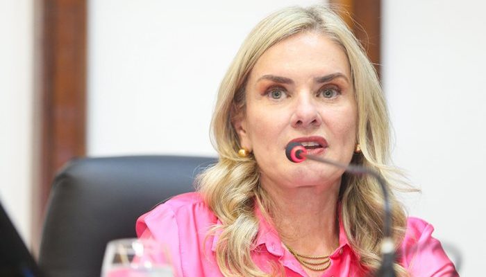 (Foto: Reprodução/Sanda Travassos)