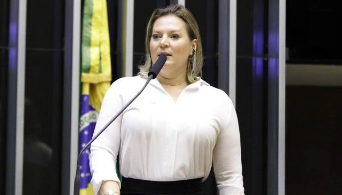 Joice Hasselmann (Foto: Agência Câmara)