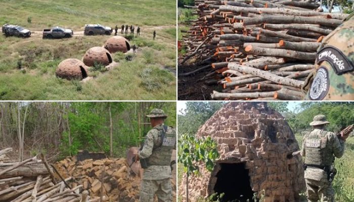 (Foto: Divulgação/CIPPA Lençóis)