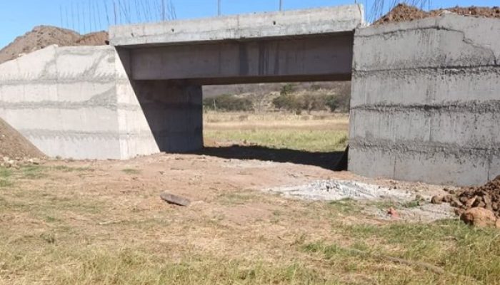 (Foto: Reprodução)