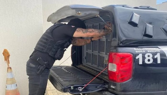 (Foto: Divulgação/Polícia Civil)