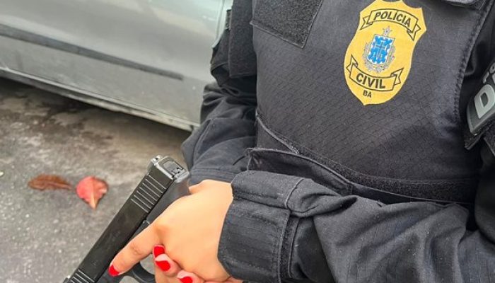 (Foto: Divulgação/Polícia Civil)