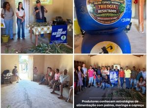 (Foto: Reprodução)
