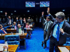Senador Federal (Foto: Reprodução)