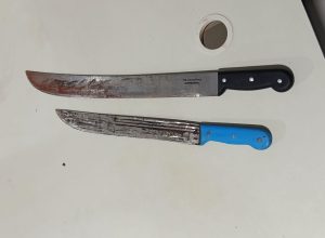 WA_1787571861865