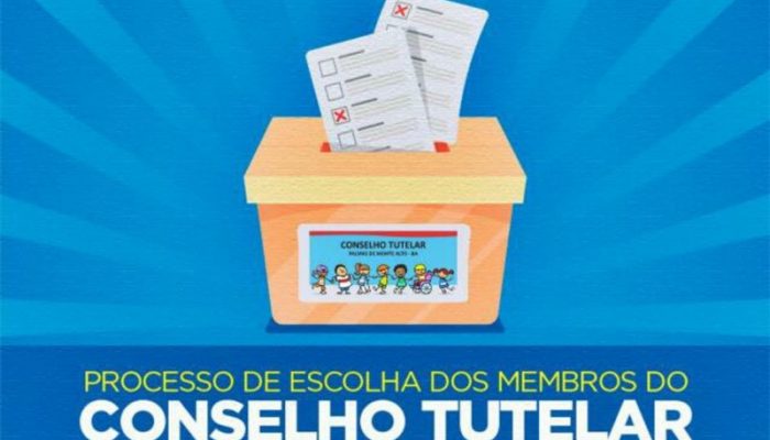 Conselho Tutelar (Foto: Divulgação)