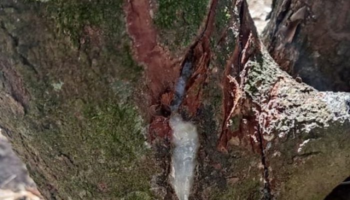 Foto: Meramente ilustrativa