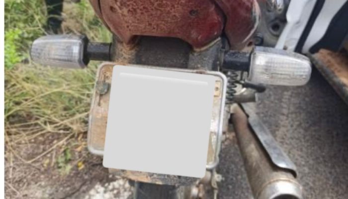 (Foto: Divulgação)