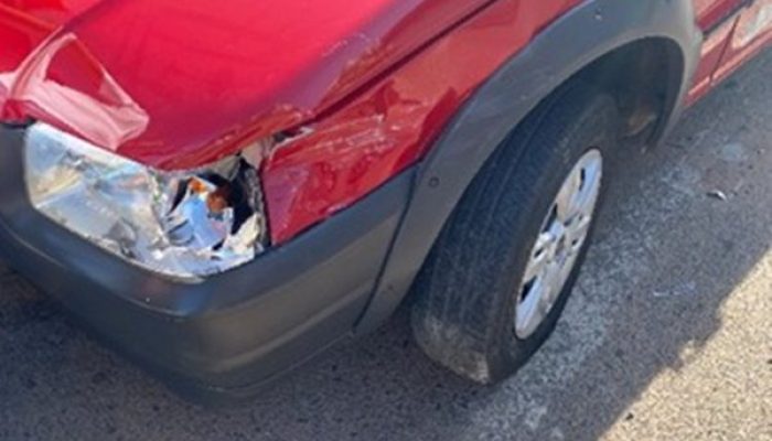 (Foto: Divulgação/17º BPM)