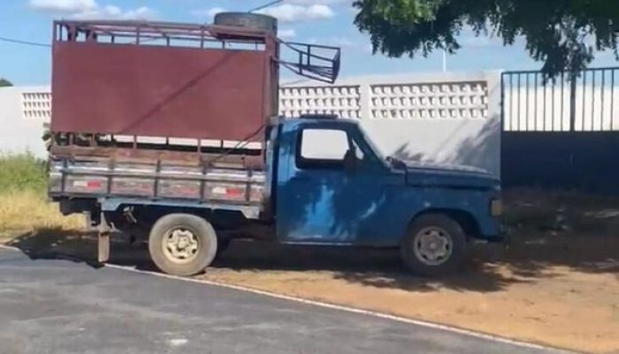 (Foto: Reprodução)