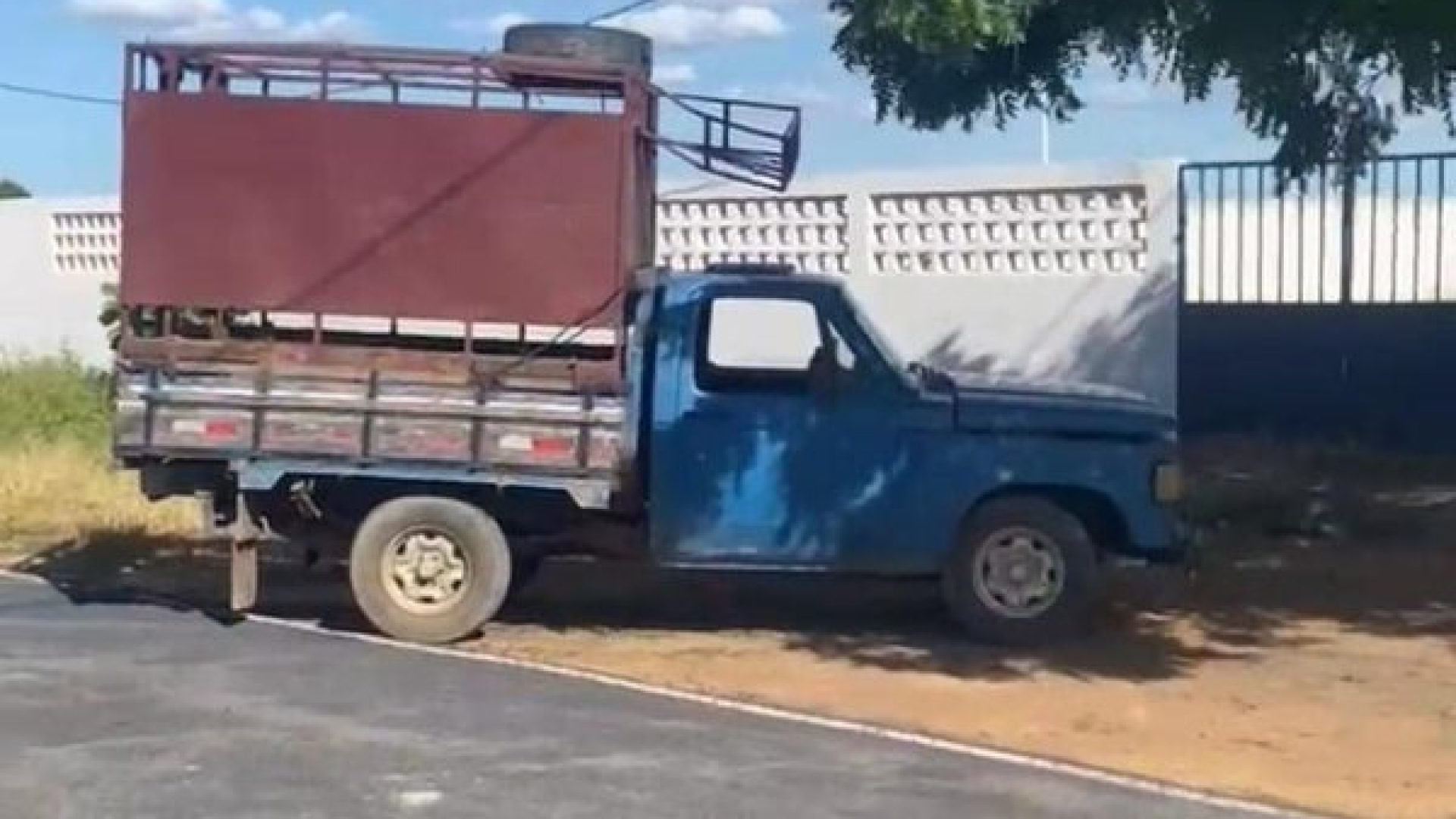 (Foto: Reprodução)