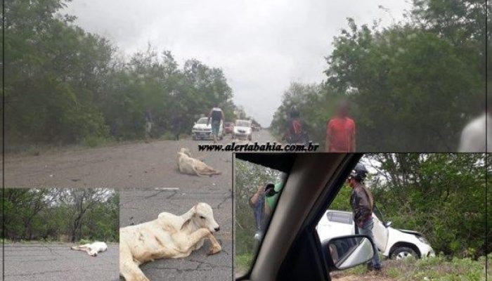 Foto: Alerta Bahia