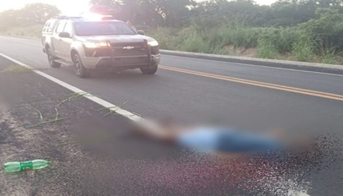 (Foto: Reprodução)