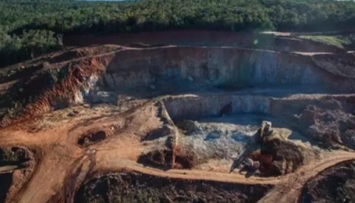 (Foto: Reprodução)