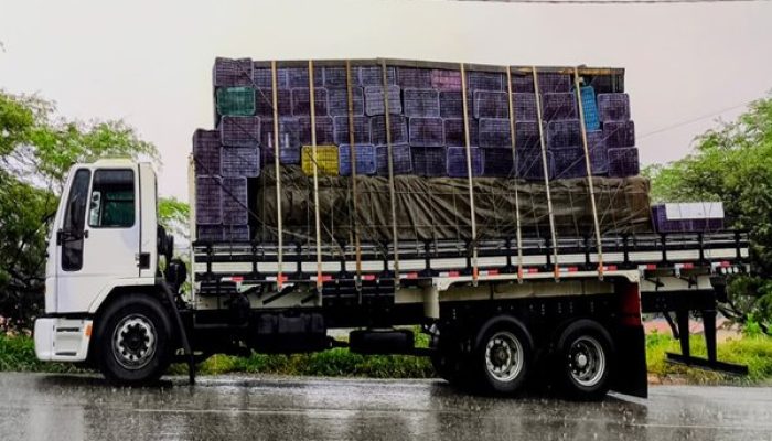 (Foto: Divulgação/CIPRv)