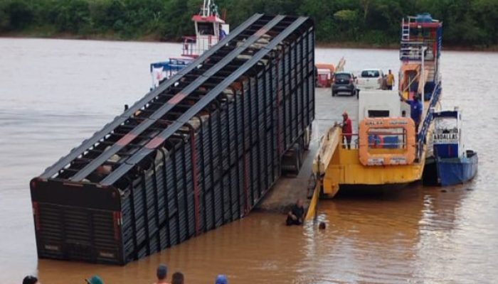 (Foto: Reprodução)