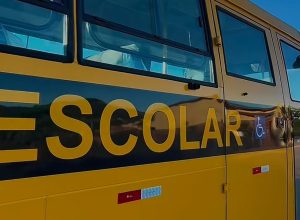 (Foto: Reprodução)