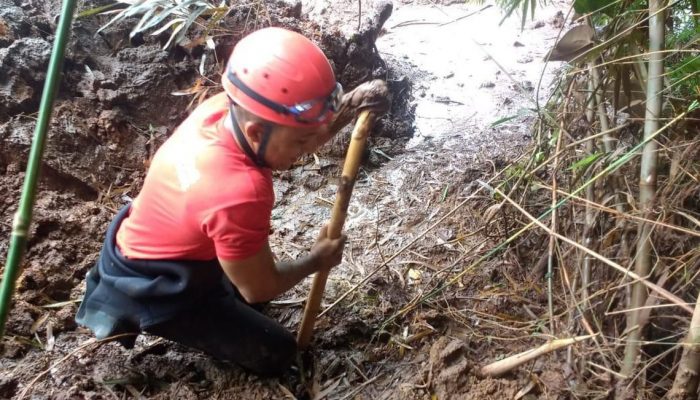 A tragédia causada pelo rompimento da barragem da Mina Córrego do Feijão, em Brumadinho, a 57 quilômetros de Belo Horizonte, completa hoje (4) 11 dias de buscas.