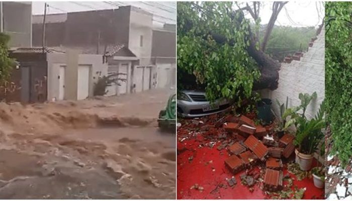 (Foto: Reprodução/Achei Sudoeste)