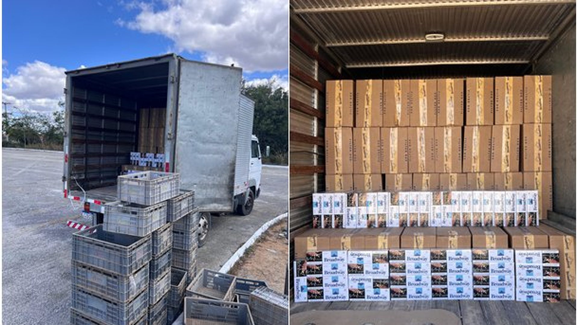 (Foto: Divulgação/CIPRv)